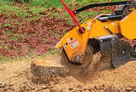 How Our Tree Care Process Works  in  Hewitt, TX
